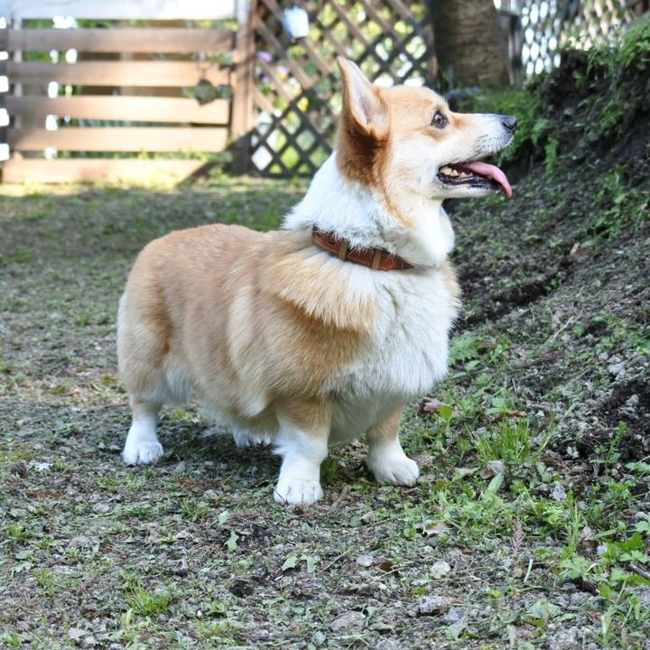 75d10415 1d37 4703 9627 df4034c37c3e 1525157216369