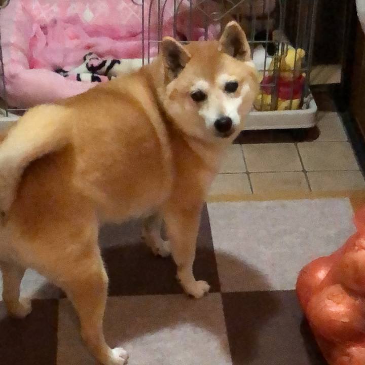 75d1243c c4ee 4484 b8ca 7f268db223c7 1606623725530