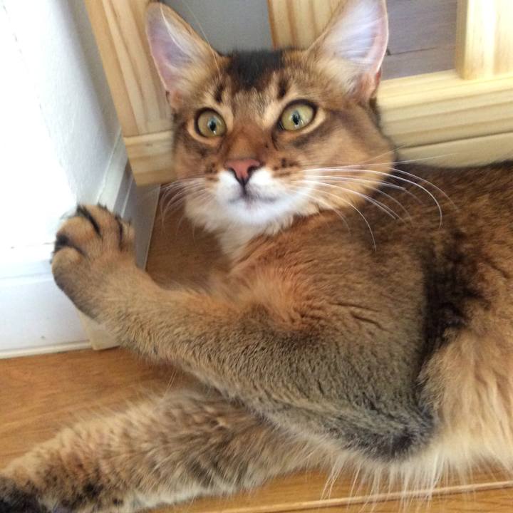 75d12c80 30f3 4c57 9ee1 c8aef72a893b 1564795546747