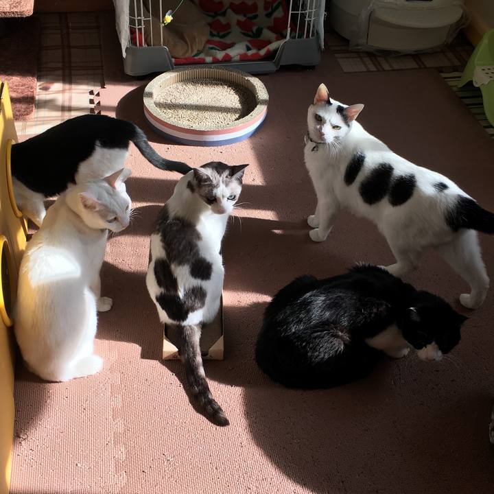 75d13877 f64b 4307 a1f2 0b69f19b3388 1516242572438