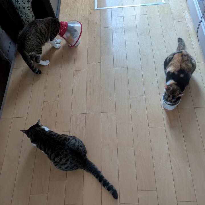 75d1650c bf25 461f 9db3 e8f0596e1c47 1752562476435