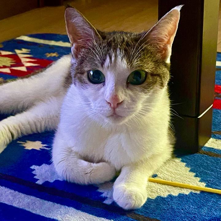 75d1cff2 dbb7 4efb 8231 300031977a37 1626900345180