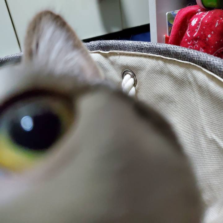 75d1d31c ca23 4e7d a811 f275b1e9f3ba 1709302838067