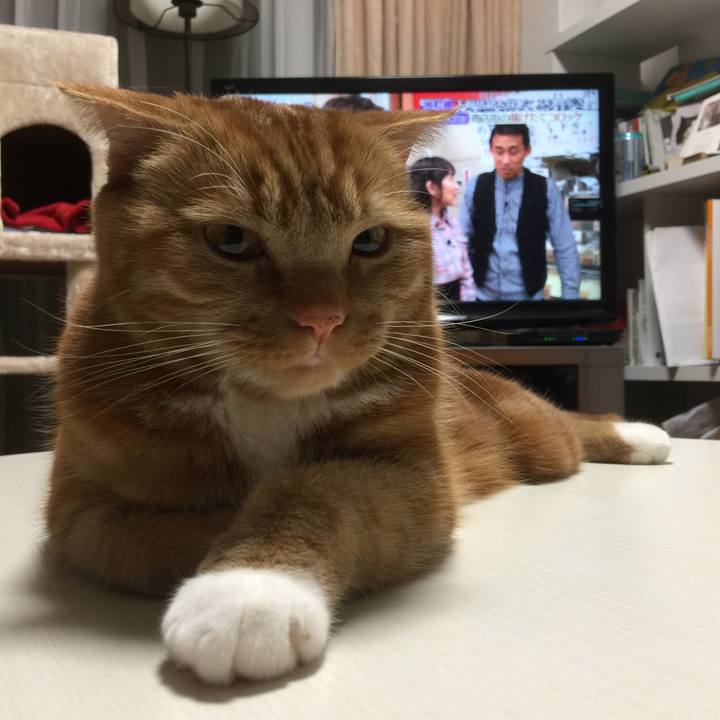 75d1e844 0ea4 4d0b 888c 7784ebb3f33f 1555757328377