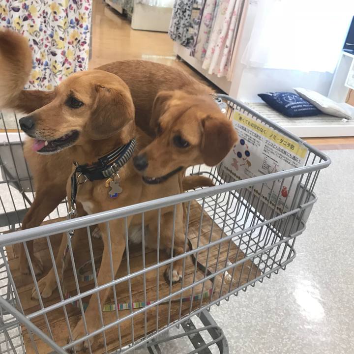 75d1f70a 7ffa 4593 a9e7 5790693ac57f 1527855345839