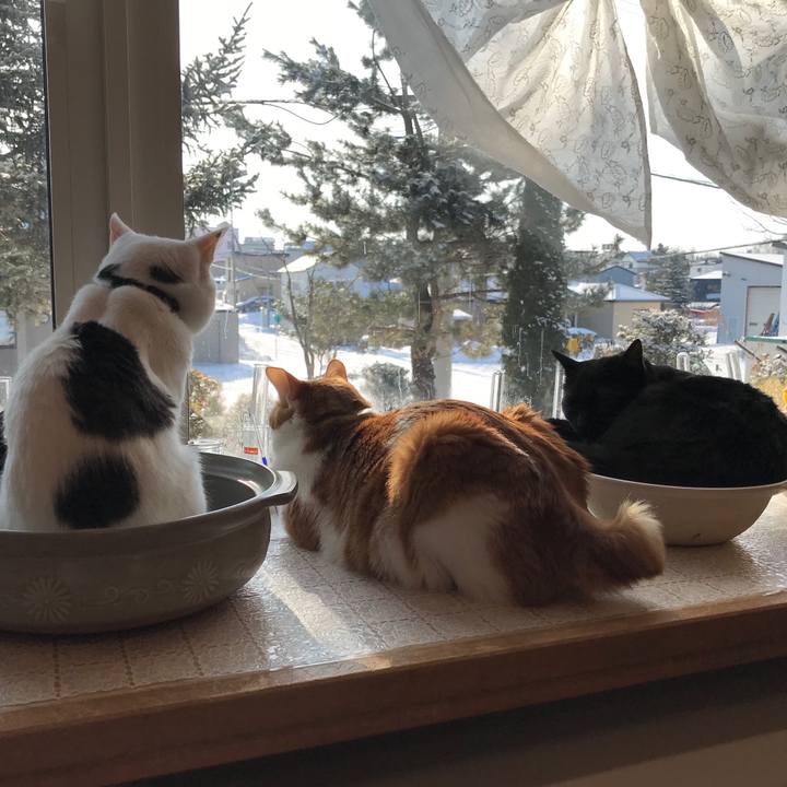 75d20374 ece9 4ecf 8dab dbe0af5096ae 1581725595788