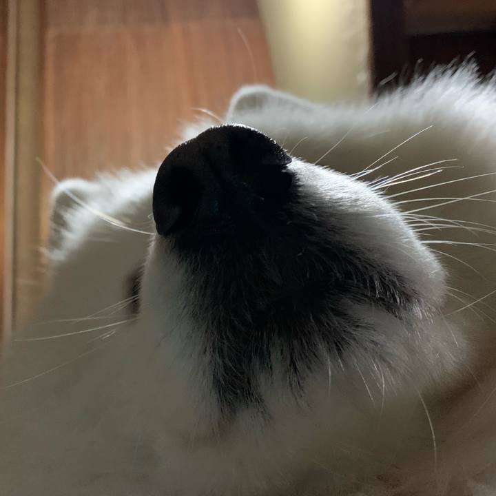 75d221c1 2f9e 498e 9e8e b30f9aa4f4bc 1641084937103