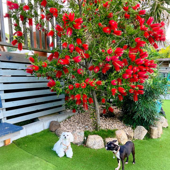 75d2285f ce46 42c8 abcf 1e5b698c53ea 1683616942028