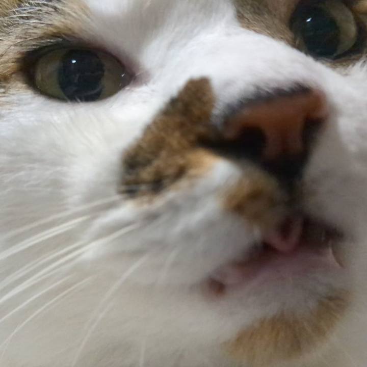 75d258cd da3a 4e35 955f cd0ad7ad11f1 1756890536320