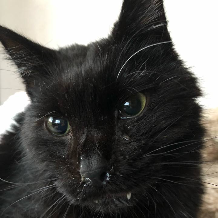 75d27760 7733 430d be40 7c83dbd41dbe 1646602102820