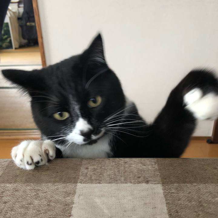 75d2dc63 1446 4dc3 b7bd 60a7e382d28e 1620617802402