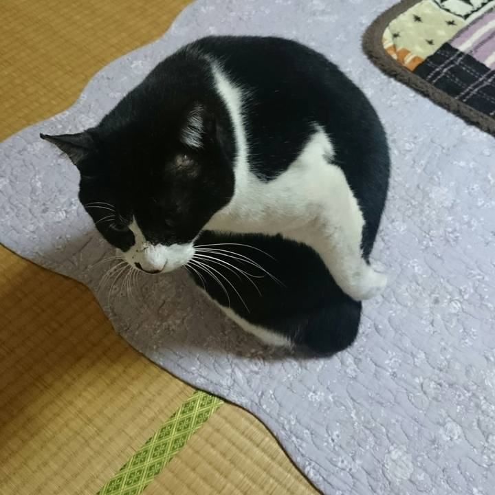 75d2e166 774e 4188 9f0a ddcad7c586a1 1511911320043