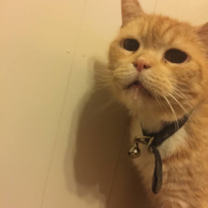 75d32e06 90b8 4dd4 b67e 10b087068647 1561302068799