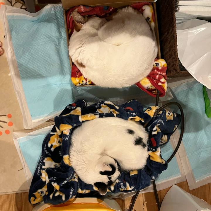 75d33532 e8f2 4f2a bc54 63592dadb825 1770643941343