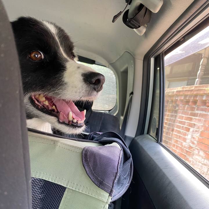 75d33d27 b106 419b 86fe bd658c486352 1653778965842