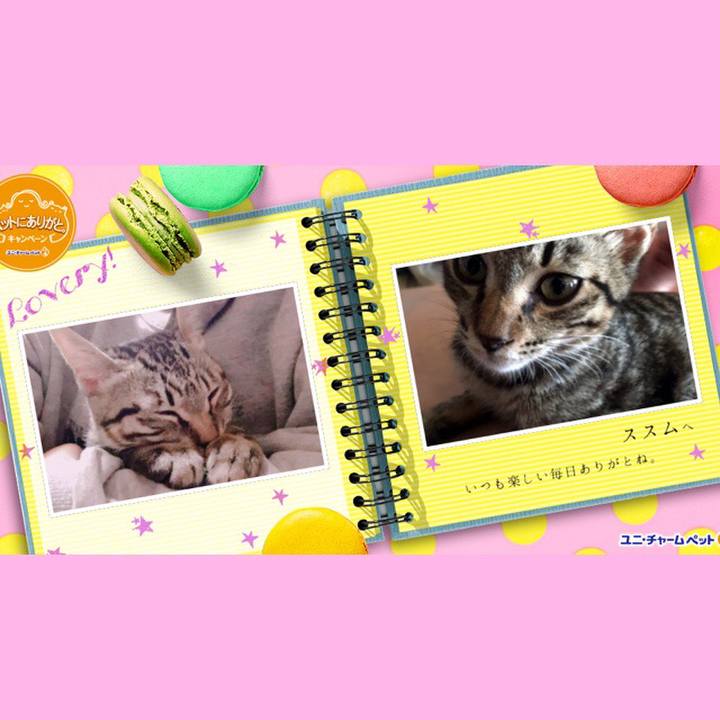 75d3730c 1788 437d 9e98 916debe135c6 1541674086442