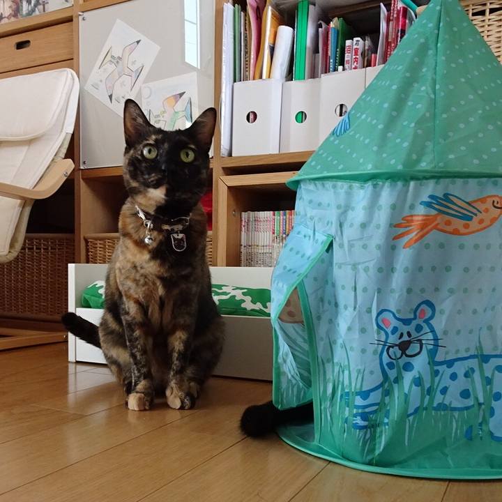 75d3731a f218 43ea adc6 774c06500658 1524360728488