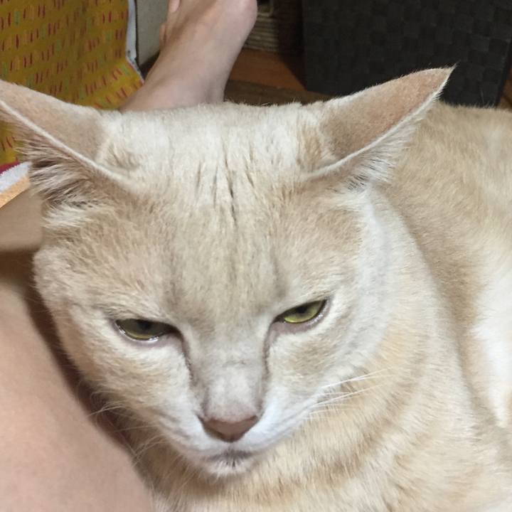 75d38954 0eee 4489 b022 2ce616f5150c 1662295074638