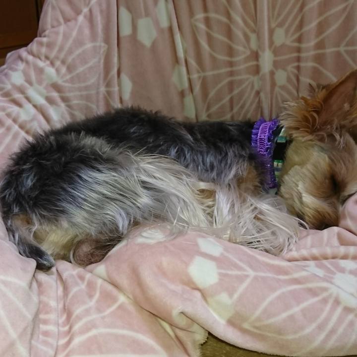 75d3ad95 ce75 4a26 a378 05cf7053b0d0 1511263549003