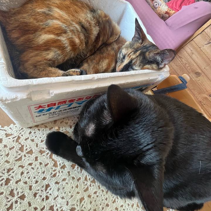 75d3b8aa ccf0 4844 92ec 1027eaccecef 1774318581919