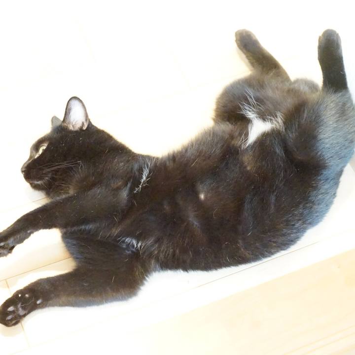 75d3c9df af25 48bb a022 4ceeae00a272 1532909301618