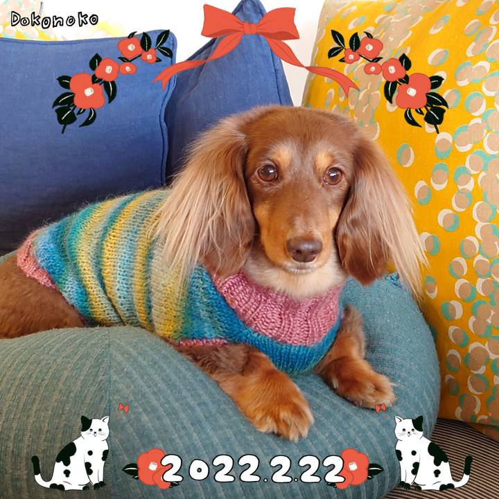 75d3cb1a 3762 4d91 af0b 6af7da9ea086 1645520481491