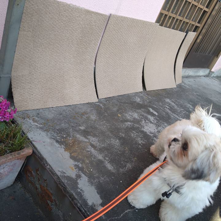 75d40061 8cd3 4b5f 86a2 bdd8784774e1 1608967472788