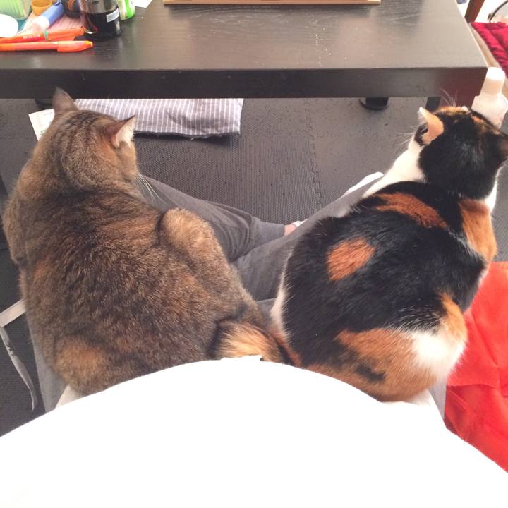 75d4370a d858 44b7 a9c0 c2c4de637833 1575789013279