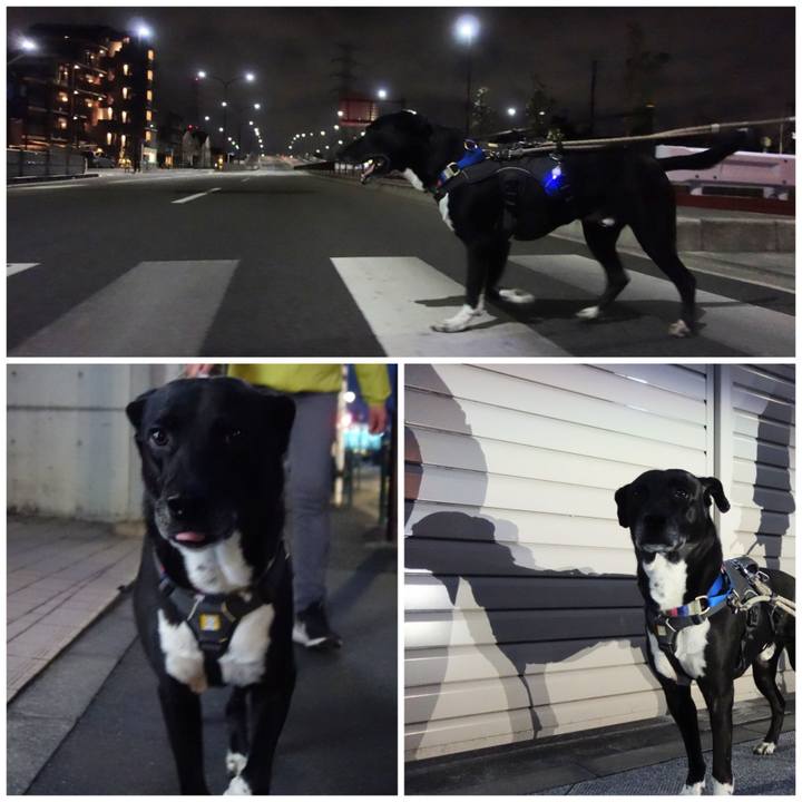 75d47f65 c6c5 43d7 a7d5 12ce8d65ac5a 1648638443071