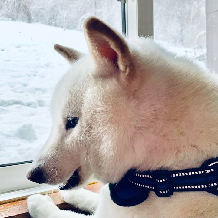 75d484e5 153b 4e86 8708 96adae37a465 1647406267187