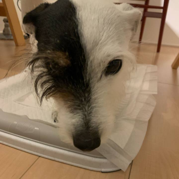 75d4ab5f dc8c 4483 87b5 052df9978f4a 1679575519272