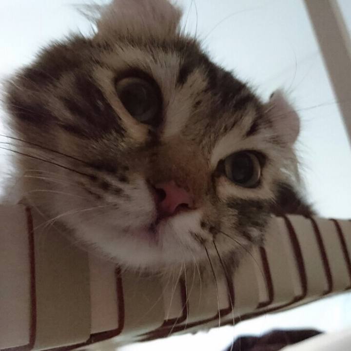 75d4b499 b7b6 4215 b80d 5a1bcc3945e9 1526365688998