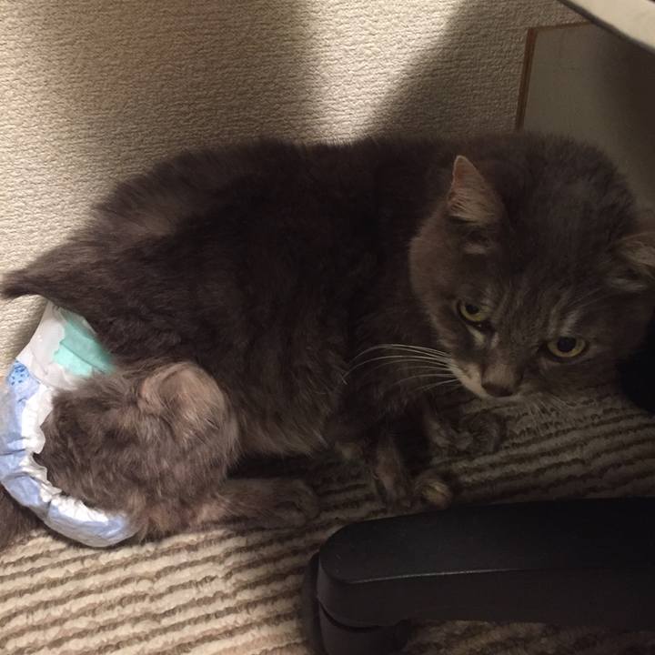 75d4de17 8e51 407b 9d85 0d28211491df 1514291359718