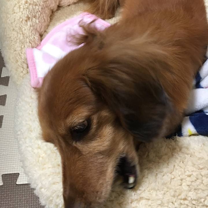 75d4fd42 ce0b 4fe1 9953 d48fd8fee835 1545922054446