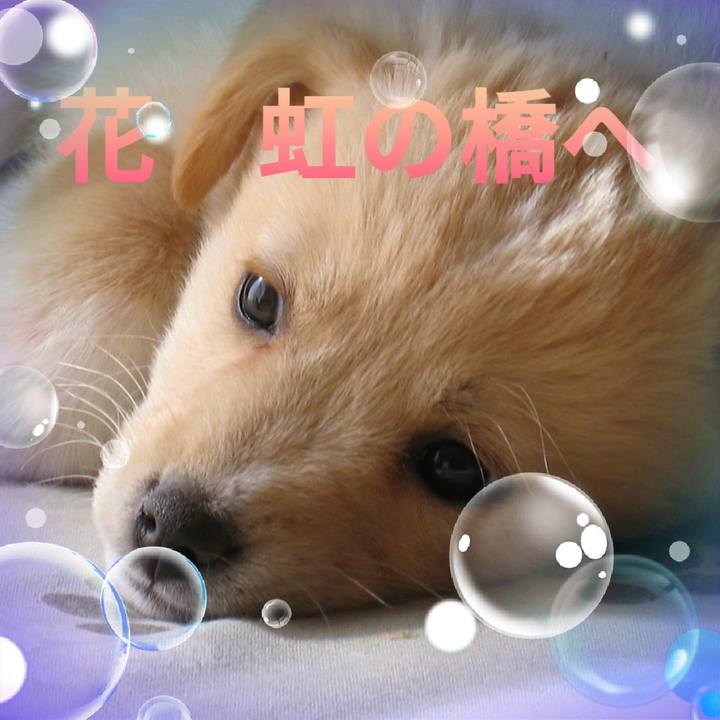 75d52b09 b624 4fbe 89ad 055f4bdd4fee 1650509151797