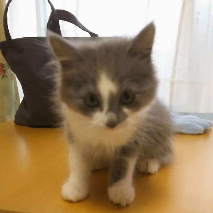 75d53def 060e 4c83 91af 1fbb7983202a 1561851727149