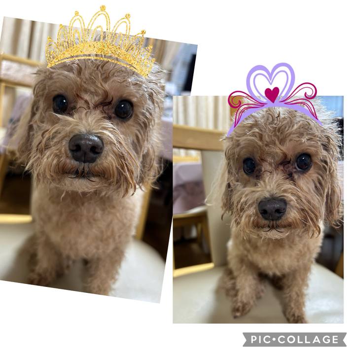 75d56256 ca4a 4ce1 a415 d765b636e1e7 1742464274021