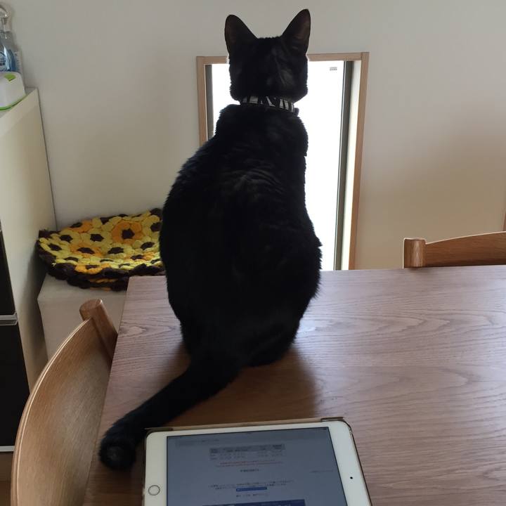 75d56ffc d225 4fa7 b7ef 8a32c0e602bb 1519524233379