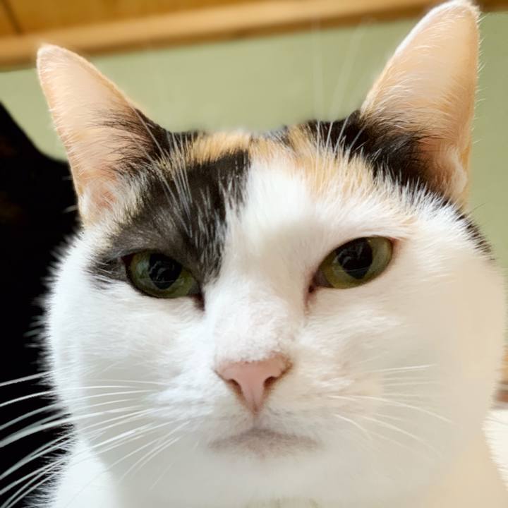 75d573b7 de35 49d3 96c3 ae1c9d5c34ee 1541813279964