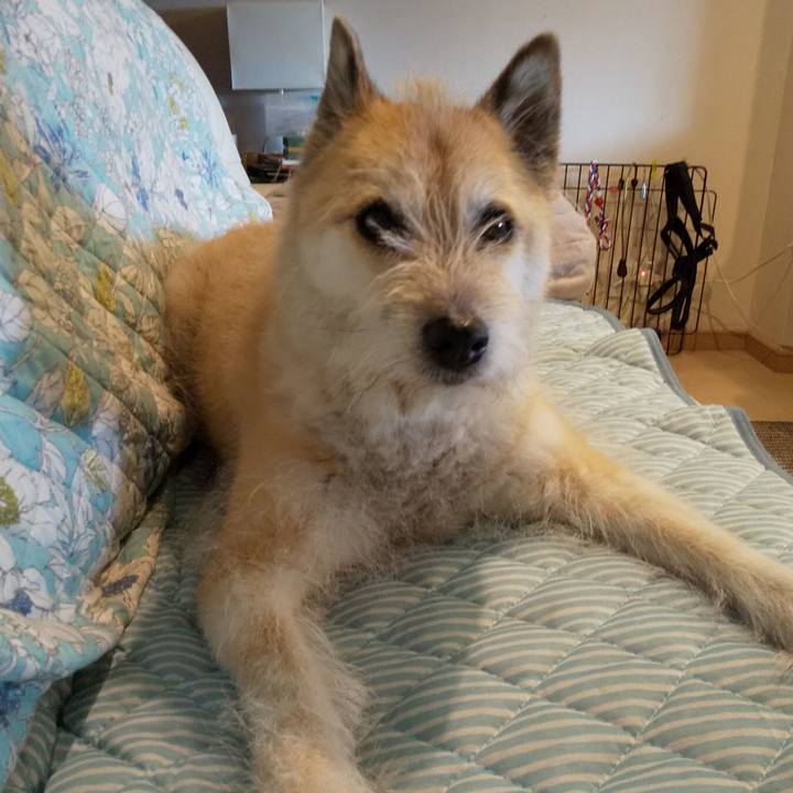 75d5849f 46d9 46ec 94ae a01cefc865c1 1560052285407