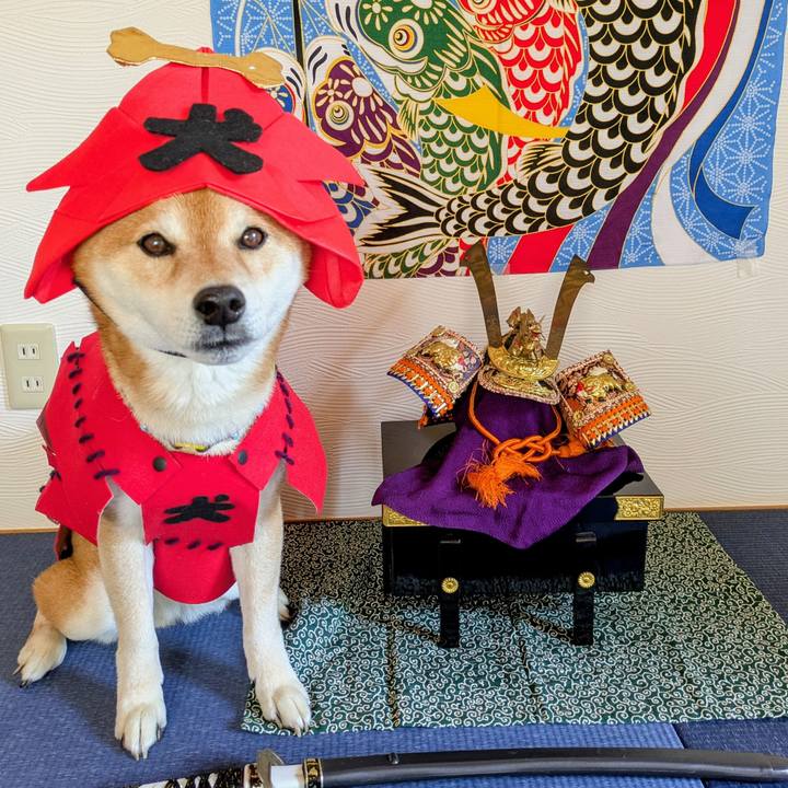 75d59470 b9fa 49ff b5d6 f394602122d1 1746406391120