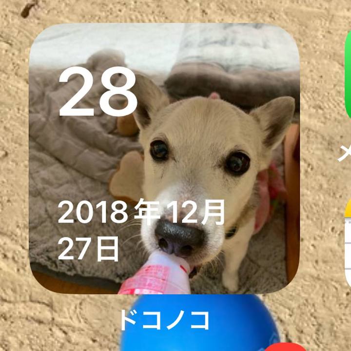 75d5cb2b 930e 44cb a6f3 cb9f5198633d 1703716121549