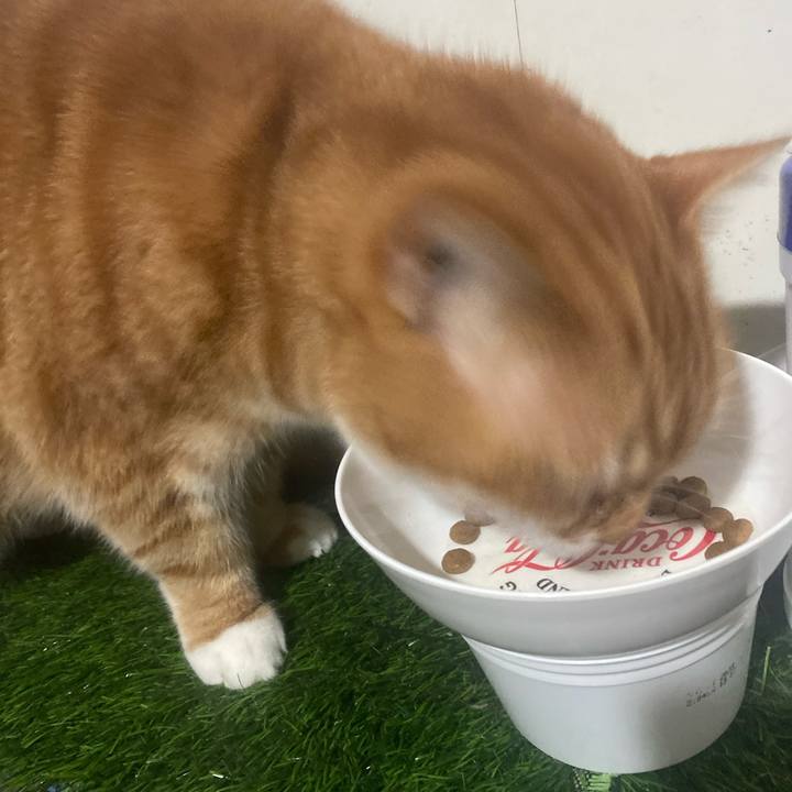 75d63054 9aee 4b55 80bf ca69cb13506b 1766214106727