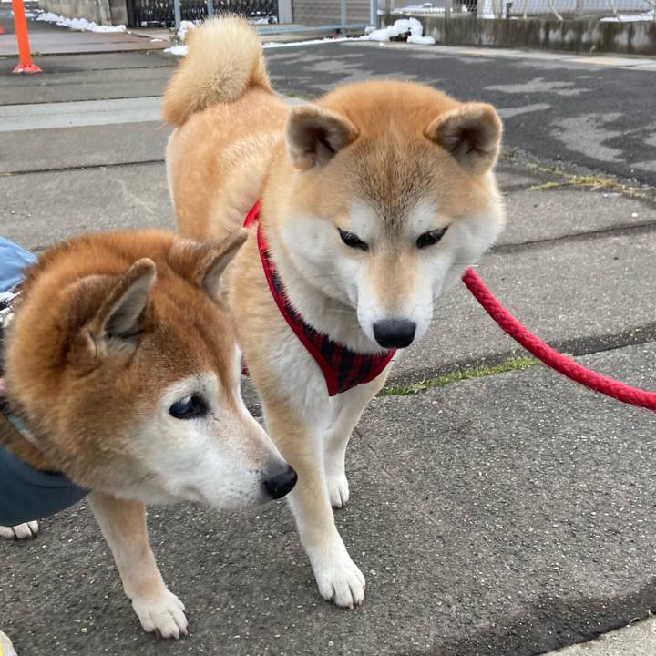 75d631ec 76f4 46e9 bb0c fc98dcfdc64a 1770537188525