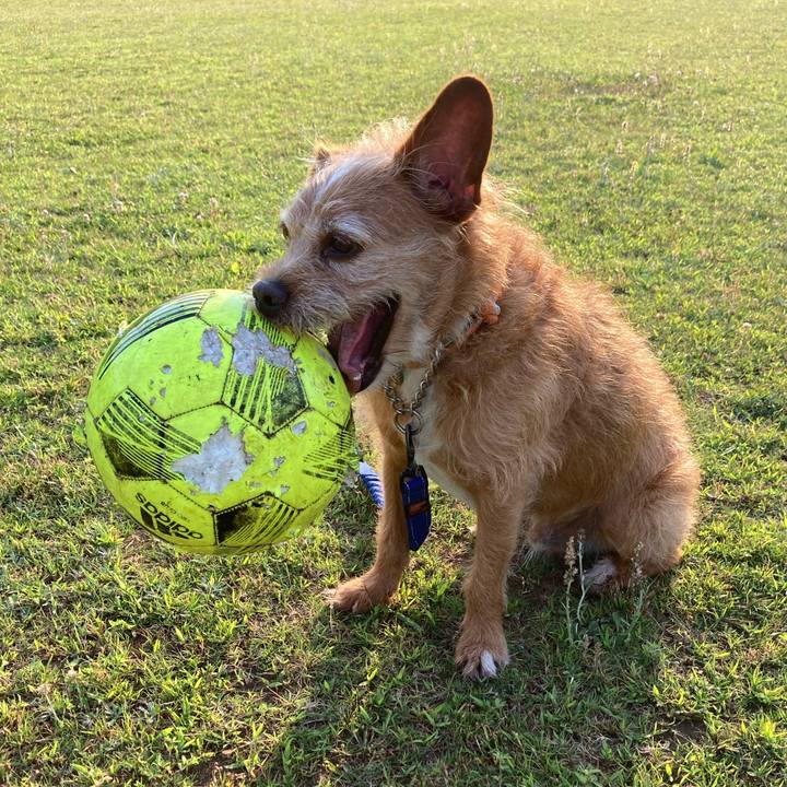 75d64790 2a16 4a3f bdcf eb76d829d8bc 1656630428701