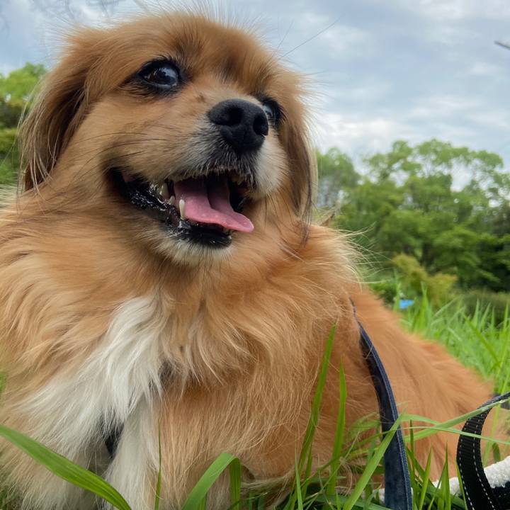 75d65ac5 8075 4b6b ade5 6bf4ac1b769b 1625960362953