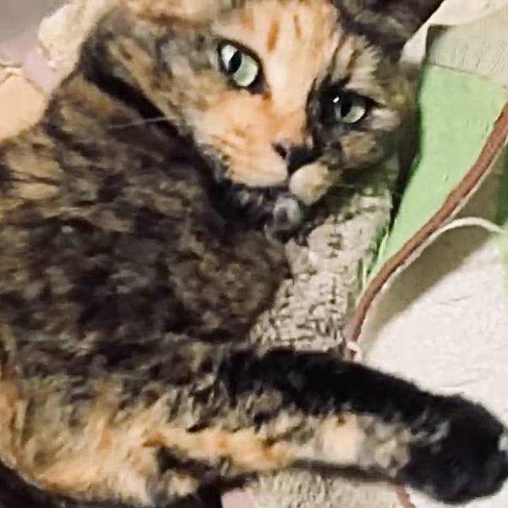 75d69547 19eb 409c a9dc 46529d3b0df0 1734687159967