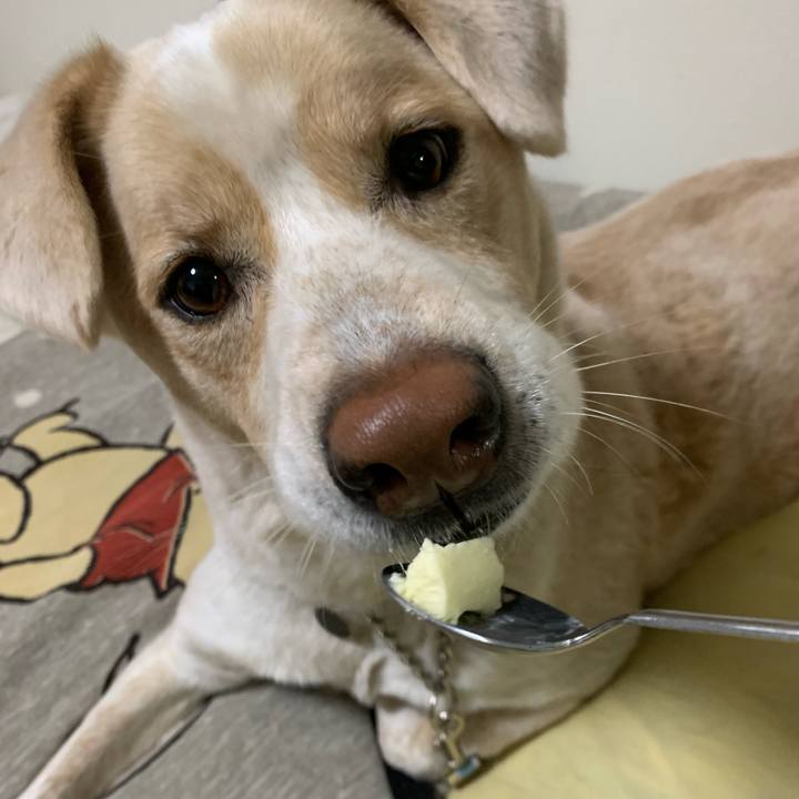 75d697d6 e903 4142 852d 2464fdf1885f 1545741813472