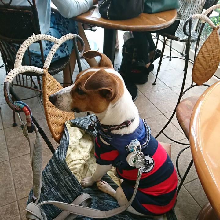 75d6af71 8996 41ca 9bd3 e832623af841 1538193268892