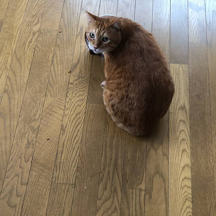 75d6bfcb 96e6 4561 98db 45a2780ff87b 1647901010928